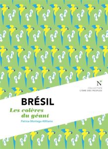 Brésil. Les colères d'un géant, 2e édition - Montagu-Williams Patrice