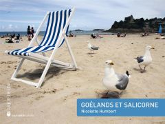 Goélands et salicorne - Humbert Nicolette