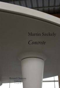 Martin Szekely. Concrete. Avec sérigraphie, Edition limitée - Szekely Martin - Simenc Christian