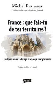 France : que fais-tu de tes territoires ? Quelques conseils à l'usage de ceux qui vont gouverner - Rousseau Michel - Novelli Hervé