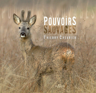 -POUVOIRS_SAUVAGES-9782812940620_0
