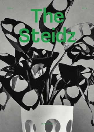The Steidz N° 10