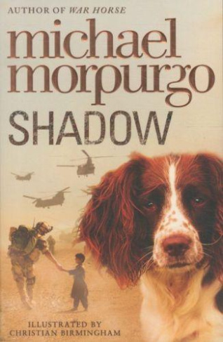 Shadow (VO)