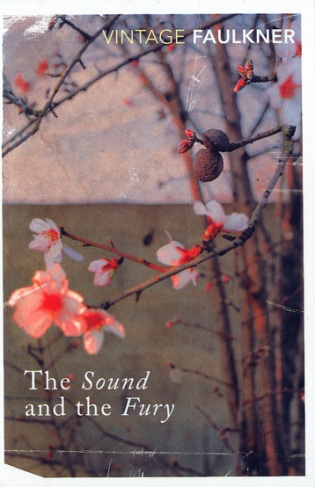 SOUND AND THE FURY