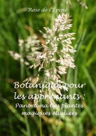 Botanique pour les apprenants : Panorama des plantes magiques étudiées