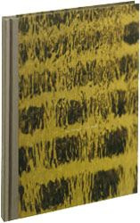 Luis barragan (anglais)