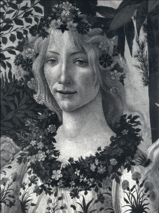 Botticelli