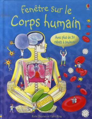 Fenêtre sur le corps humain