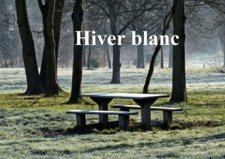 HIVER BLANC LIVRE POSTER DIN A3 HORIZONTAL