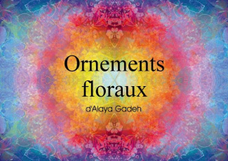 ORNEMENTS FLORAUX D ALAYA GADEH LIVRE POSTER DIN A4 HORIZONTAL
