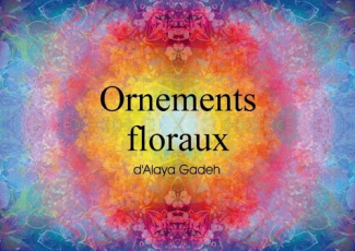 ORNEMENTS FLORAUX D ALAYA GADEH LIVRE POSTER DIN A3 HORIZONTAL