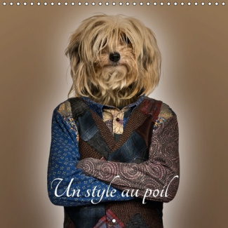 UN STYLE AU POIL CALENDRIER MURAL 2016 300 300 MM SQUARE