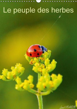 Le peuple des herbes. Photos d'insectes. Calendrier mural A3 vertical 2016