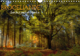 BROCELIANDE SUR LES PAS DE MERLIN CALENDRIER MURAL 2016 DIN A4 HORIZONTAL