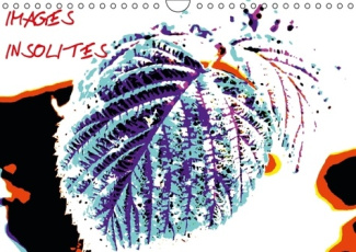 IMAGES INSOLITES CALENDRIER MURAL 2016 DIN A4 HORIZONTAL