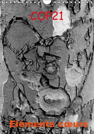 COP21 ELEMENTS C URS CALENDRIER MURAL 2016 DIN A4 VERTICAL