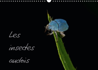 LES INSECTES AUDOIS CALENDRIER MURAL 2016 DIN A3 HORIZONTAL