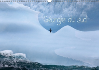 GEORGIE DU SUD CALENDRIER MURAL 2016 DIN A3 HORIZONTAL