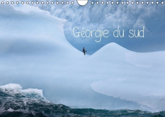 GEORGIE DU SUD CALENDRIER MURAL 2016 DIN A4 HORIZONTAL