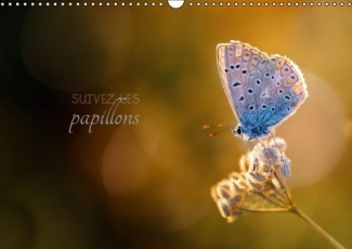 SUIVEZ LES PAPILLONS CALENDRIER MURAL 2016 DIN A3 HORIZONTAL