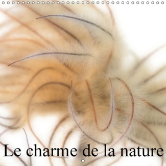 LE CHARME DE LA NATURE CALENDRIER MURAL 2016 300 300 MM SQUARE