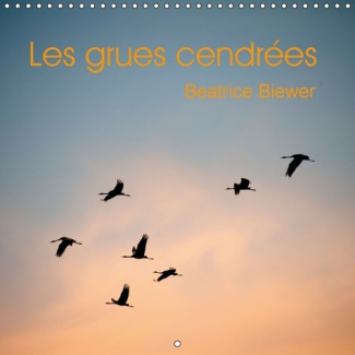 LES GRUES CENDREES CALENDRIER MURAL 2016 300 300 MM SQUARE