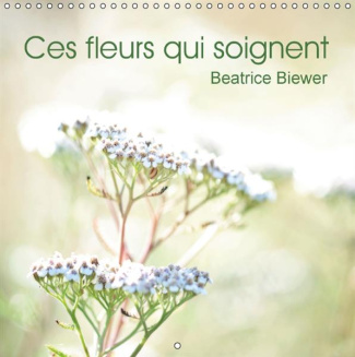 CES FLEURS QUI SOIGNENT CALENDRIER MURAL 2016 300 300 MM SQUARE