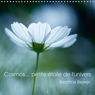 COSMOS PETITE ETOILE DE L UNIVERS CALENDRIER MURAL 2016 300 300 MM SQUARE