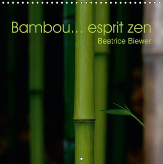 BAMBOU ESPRIT ZEN CALENDRIER MURAL 2016 300 300 MM SQUARE