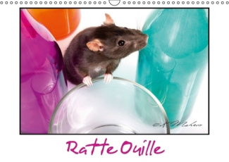 RATTE OUILLE CALENDRIER MURAL 2016 DIN A3 HORIZONTAL