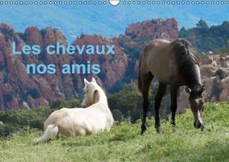 LES CHEVAUX NOS AMIS CALENDRIER MURAL 2016 DIN A3 HORIZONTAL