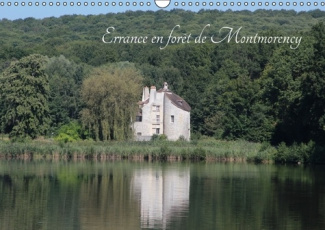 BALADE EN FORET DE MONTMORENCY CALENDRIER MURAL 2016 DIN A3 HORIZONTAL