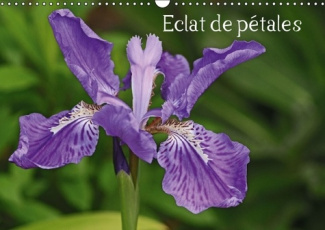 ECLAT DE PETALES CALENDRIER MURAL 2016 DIN A3 HORIZONTAL