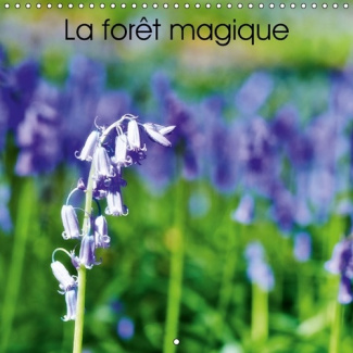 LA FORET MAGIQUE CALENDRIER MURAL 2017 300 300 MM SQUARE - HALLERBOS LA FORET FEERIQUE CA