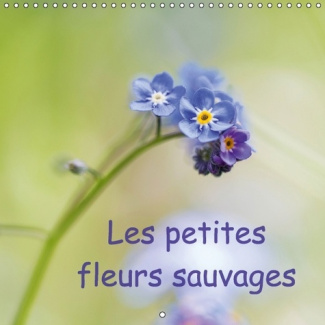 LES PETITES FLEURS SAUVAGES CALENDRIER MURAL 2017 300 300 MM SQUARE - LA BEAUTE DES FLEURS SAUVAGES