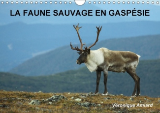LA FAUNE SAUVAGE EN GASPESIE CALENDRIER MURAL 2018 DIN A4 HO - BIENVENUE DANS LE MONDE DES AN