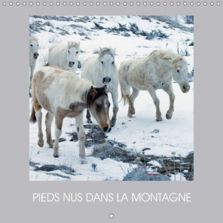 PIEDS NUS DANS LA MONTAGNE CALENDRIER MURAL 2018 300 300 MM - DES CHEVAUX EN LIBERTE CALENDR