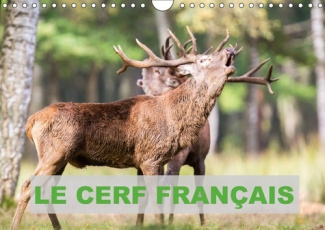LE CERF FRANCAIS CALENDRIER MURAL 2018 DIN A4 HORIZONTAL - PHOTOS DE CERFS EN FRANCE CALE