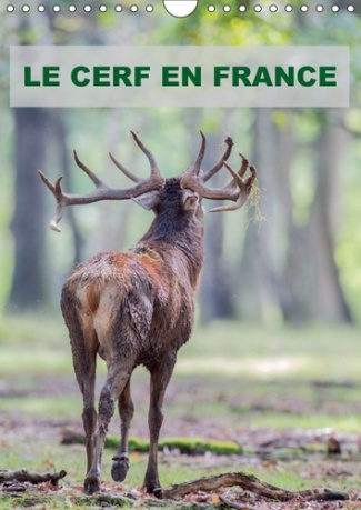 LE CERF EN FRANCE CALENDRIER MURAL 2018 DIN A4 VERTICAL - PHOTOGRAPHIES DE CERFS EN FRAN