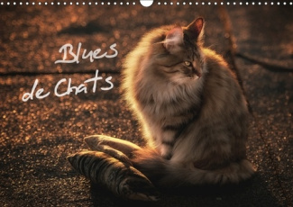 BLUES DE CHATS CALENDRIER MURAL 2018 DIN A3 HORIZONTAL - DES CHATS ELEVES AVEC LE BLUES