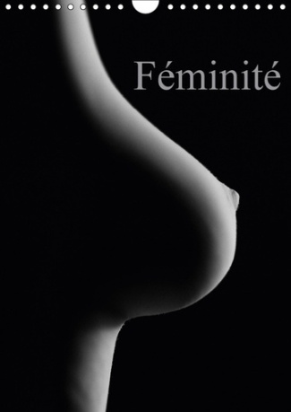 FEMINITE CALENDRIER MURAL 2018 DIN A4 VERTICAL - PRISES EROTIQUES DU CORPS FEMI