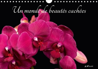 UN MONDE DE BEAUTES CACHEES CALENDRIER MURAL 2018 DIN A4 HOR - BELLES ET COLOREES CALENDRIER
