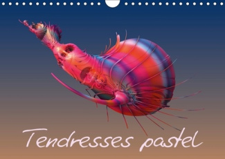 TENDRESSES PASTEL CALENDRIER MURAL 2018 DIN A4 HORIZONTAL