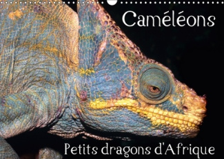 CAMELEONS PETITS DRAGONS D AFRIQUE CALENDRIER MURAL 2018 DIN - DOUZE PORTRAITS EXTRAORDINAIRE