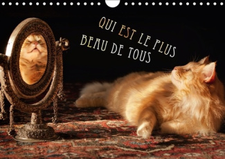 QUI EST LE PLUS BEAU DE TOUS CALENDRIER MURAL 2018 DIN A4 HO - CHATS ELEVES DANS L EXAMEN BEA