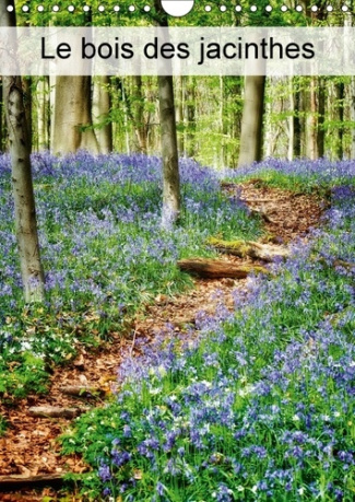 LE BOIS DES JACINTHES CALENDRIER MURAL 2018 DIN A4 VERTICAL - HALLERBOS LA FORET FEERIQUE CA
