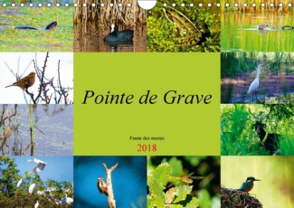 POINTE DE GRAVE FAUNE DES MARAIS CALENDRIER MURAL 2018 DIN A - UN PETIT APERCU DE LA FAUNE DE