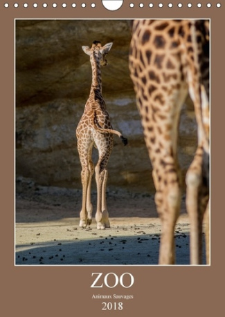 ZOO ANIMAUX SAUVAGES CALENDRIER MURAL 2018 DIN A4 VERTICAL - ANIMAUX SAUVAGES CALENDRIER ME