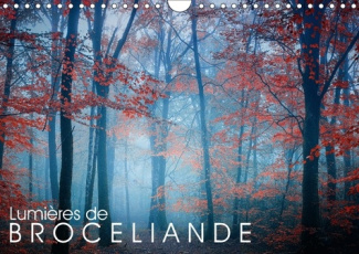 LUMIERES DE BROCELIANDE CALENDRIER MURAL 2018 DIN A4 HORIZON - IMAGES DE LA FORET DE BROCELIA