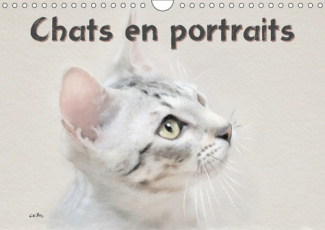 CHATS EN PORTRAITS (CALENDRIER MURAL 2019 DIN A4 HORIZONTAL) - SERIE DE 12 CREATIONS ORIGINALES VENA
